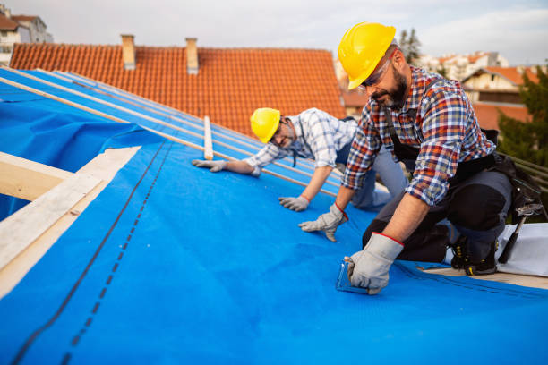 Roof Gutter Cleaning in Groveton, VA